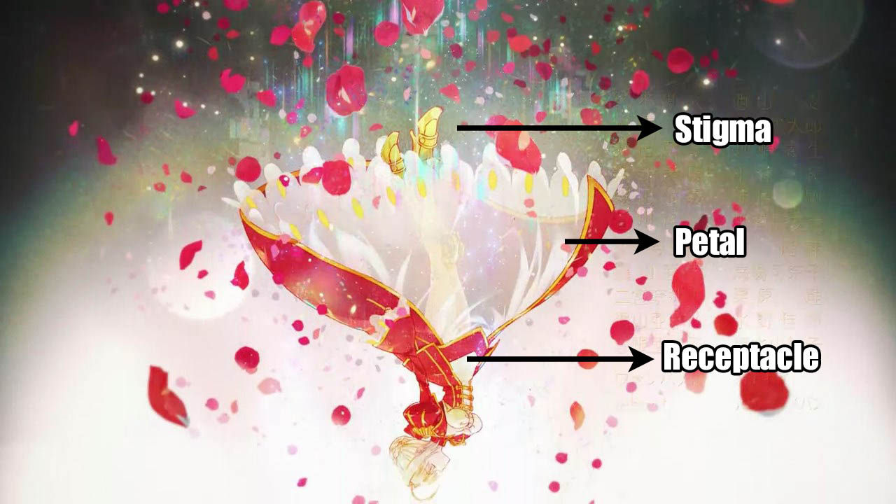 Fate Extra Last Encore Ed Actushumanus Anime Blog